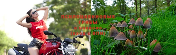 прущий лед Абинск