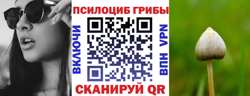 МЕГА ССЫЛКА  Шенкурск  Псилоцибиновые грибы MAGIC MUSHROOMS 